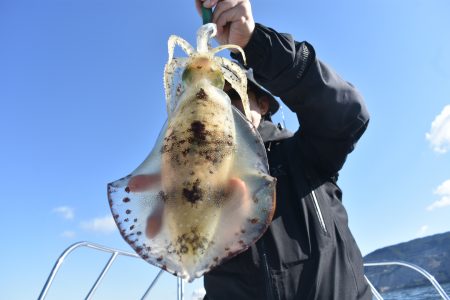 Fisherman Dreams DI 釣果