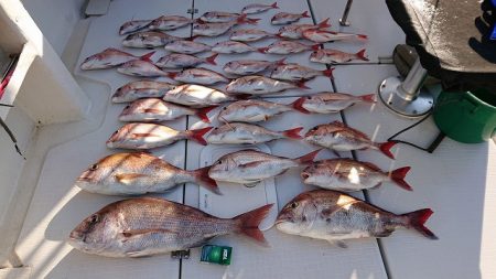 フィッシングボートACE（エース） 釣果