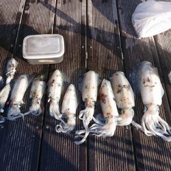 フィッシングボートACE(エース) 釣果