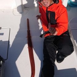 フィッシングボートACE(エース) 釣果