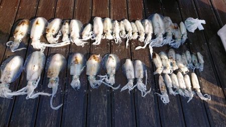 フィッシングボートACE(エース) 釣果