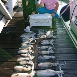 フィッシングボートACE(エース) 釣果