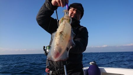 フィッシングボートACE(エース) 釣果