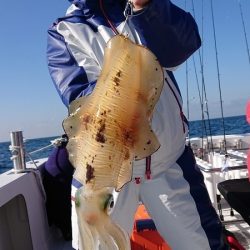 フィッシングボートACE(エース) 釣果