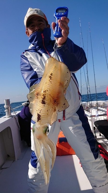 フィッシングボートACE(エース) 釣果