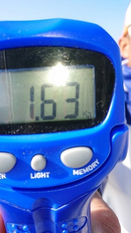 フィッシングボートACE(エース) 釣果