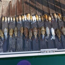 フィッシングボートACE(エース) 釣果