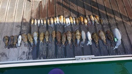 フィッシングボートACE(エース) 釣果