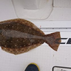 フィッシングボートACE（エース） 釣果