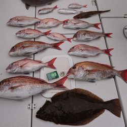 フィッシングボートACE（エース） 釣果