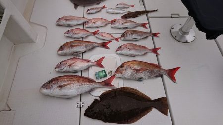 フィッシングボートACE（エース） 釣果