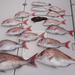 フィッシングボートACE(エース) 釣果