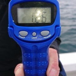 フィッシングボートACE（エース） 釣果