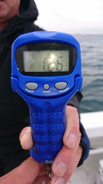 フィッシングボートACE（エース） 釣果