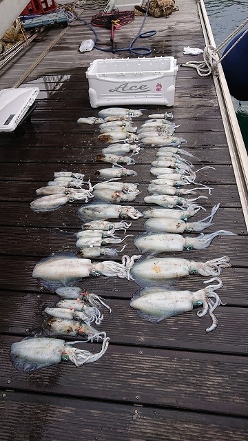 フィッシングボートACE（エース） 釣果