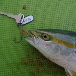 深川　吉野屋 釣果