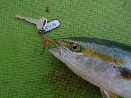 深川　吉野屋 釣果