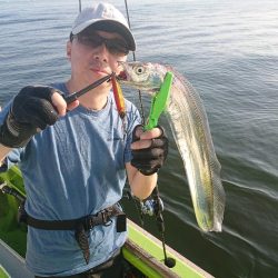 深川 吉野屋 釣果