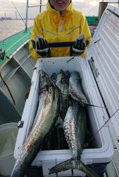 KONAYAーMARU(こなや丸) 釣果