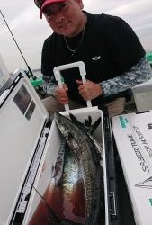 ＫＯＮＡＹＡｰＭＡＲＵ（こなや丸） 釣果