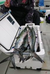 ＫＯＮＡＹＡｰＭＡＲＵ（こなや丸） 釣果