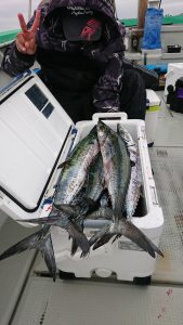 ＫＯＮＡＹＡｰＭＡＲＵ（こなや丸） 釣果