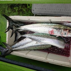 深川　吉野屋 釣果