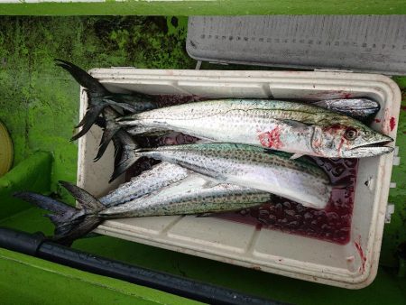 深川　吉野屋 釣果