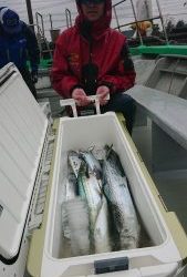 KONAYAーMARU(こなや丸) 釣果