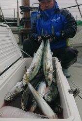 KONAYAーMARU(こなや丸) 釣果
