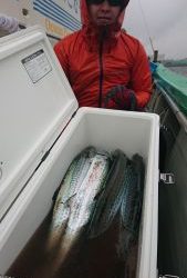 KONAYAーMARU(こなや丸) 釣果