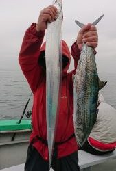 KONAYAーMARU(こなや丸) 釣果