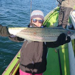 深川 吉野屋 釣果