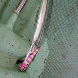 タチウオジギングに間違いのないジグ【メガバス（Megabass）スラッシュビートシリーズ　インプレッション】