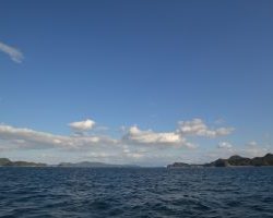 アジアマリンサービス 釣果