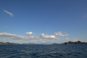 アジアマリンサービス 釣果