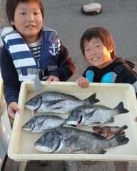 和歌山マリーナシティ釣り公園 釣果