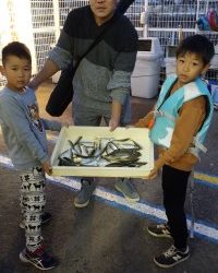 和歌山マリーナシティ釣り公園 釣果