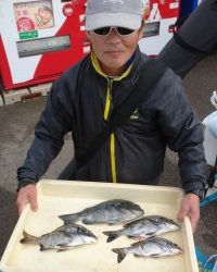 和歌山マリーナシティ釣り公園 釣果