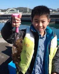 和歌山マリーナシティ釣り公園 釣果