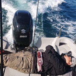 Fisherman Dreams DI 釣果