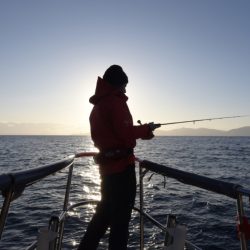 まるいち丸 ZERO-1 釣果