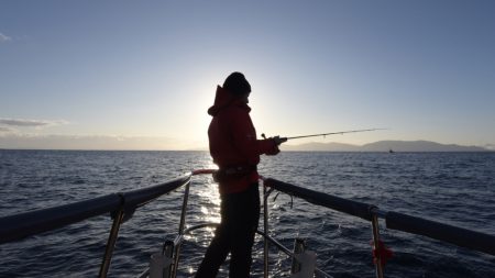 まるいち丸 ZERO-1 釣果