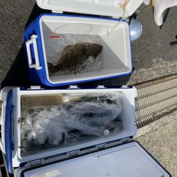 第八大安丸 釣果