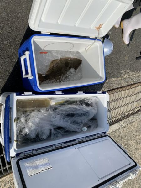 第八大安丸 釣果