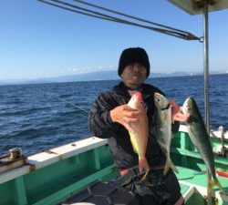 喜久丸 釣果