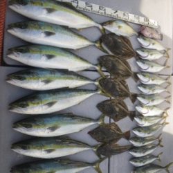 磯部釣船 直栄丸 釣果