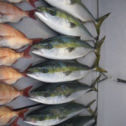 磯部釣船 直栄丸 釣果