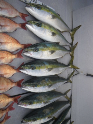 磯部釣船 直栄丸 釣果