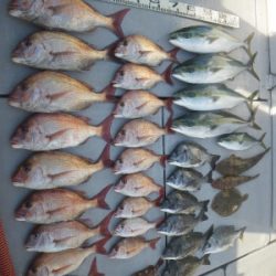 磯部釣船 直栄丸 釣果